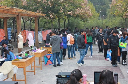 藝術(shù)之光閃耀校園 周末文化廣場活動(dòng)開幕，推動(dòng)國內(nèi)文化藝術(shù)交流新篇章